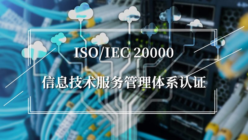 企业运维困境：自建与外包的权衡